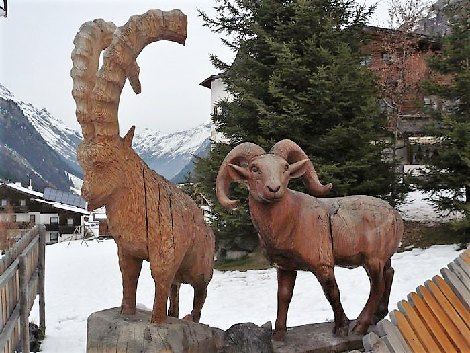 pitz_09_00581.jpg
