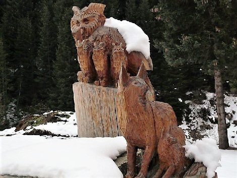 pitz_09_00586.jpg
