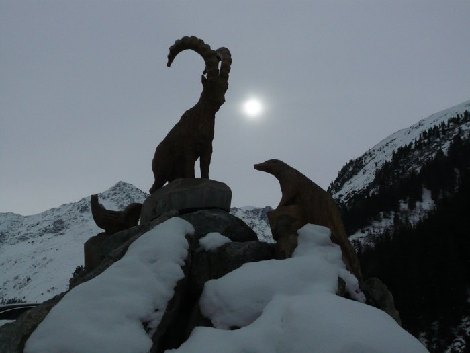pitz_09_0701.jpg