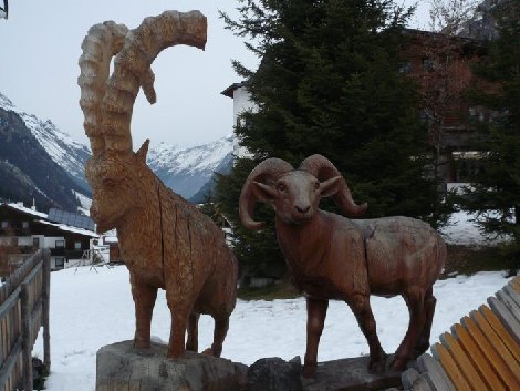 pitz_09_1305.jpg