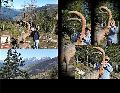 pitz_09_0156.jpg