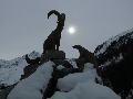 pitz_09_0701.jpg