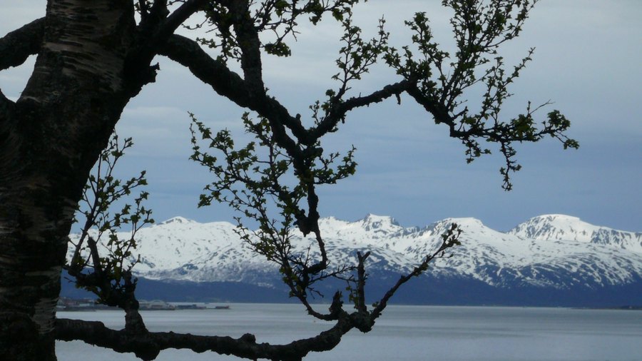 norw_2011_041.jpg