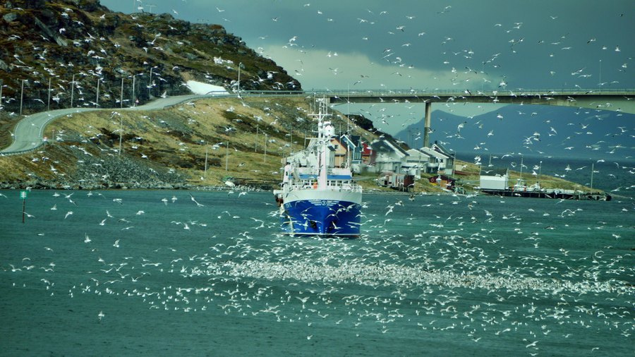 norw_2011_043.jpg