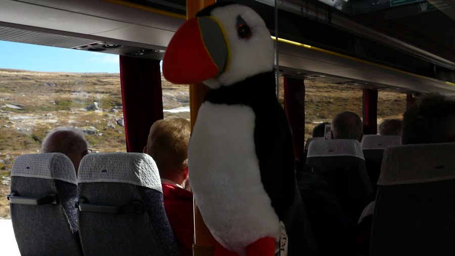norw_2011_052.jpg