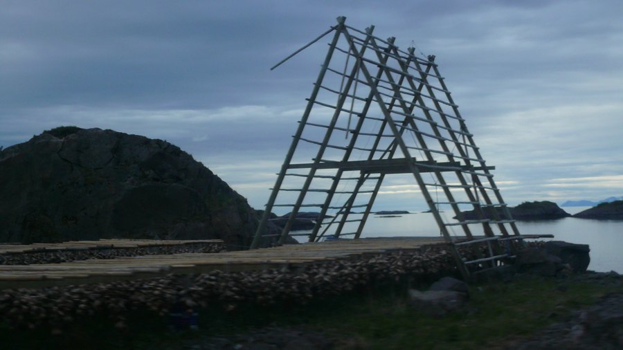 norw_2011_077.jpg