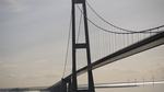 norw_2011_002.jpg
