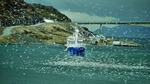 norw_2011_043.jpg
